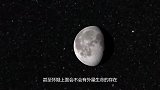 月球上首次出现“生命”！科学界直接沸腾，嫦娥四号成为最大功臣