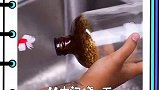废物利用小技巧