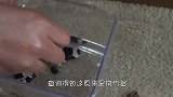 雄海马怎么生宝宝，挺着肚子一阵狂喷，幼崽纷纷出现在眼前！