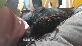 爆笑：你这什么意思果然是桃源圣地啊