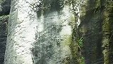 贵州贵阳喀斯特公园一石壁上发现的化石，这化石是恐龙还是蝎子