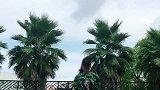 我运动！我健康！我快乐！