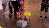 这是一只非主流小狗狗