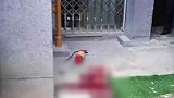 贵州10岁男童高空抛下灭火器 一中年女子头部被砸中后死亡