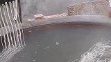 过年回老家，长这么大第一次见到粉条制作的全过程，真是长见识了