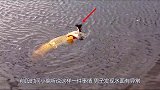 男子发现水面有异常，走近一看可不得了，镜头拍下罕见瞬间