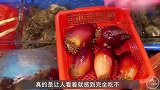 日本人最爱的食物，肉质带有“粪味”，当地人却喜欢生吃！
