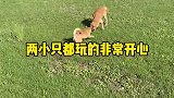 看你还乱不乱吃了