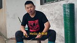 超小厨小院围栏竣工啦！晚饭3斤凉皮配卤猪蹄，有荤有素吃着安逸