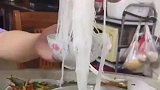 顾忌大人感受只能接受，从小没养成习惯