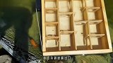 2只猫咪挑战巨型迷宫主人花3天3夜打造纸板迷宫，它们能出来吗