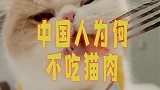中国人为何不吃猫原来李时珍早已告诉我们答案，古人早就尝试过！