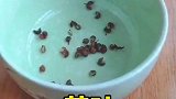 家里冰箱异味重？教你一招搞定