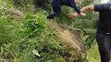 生了个不孝子，才这么小就暗害爸爸，爸爸的举动震撼全网！