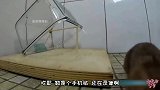 四川方言配音：一个简单却又实用的捕鼠神器！