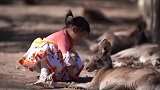 澳洲旅行vlog4，布里斯班亲子游必打卡，喂袋鼠抱考拉