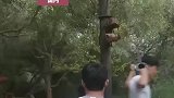 玩旋转飞椅时绳子断裂，男子飞出险酿悲剧，绳子什么时候换一次