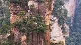 《阿凡达》世界里的风景，现实中就在张家界！