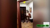 小猫尾巴上粘着气球，小猫原地旋转，想要追逐气球！