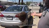 女士的车子不知为何物被蜜蜂包围，胖大叔徒手除蜜蜂