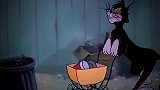 猫和老鼠：野猫生活真可怜，只能在垃圾箱找吃的，和家猫天壤之别