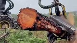 伐树神操作