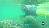 “浪花家族”西岛浮潜！金子涵畅游水下世界好漂亮，直言很爽