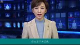 郎永淳不再沉默，回应欧阳夏丹离开央视的原因，网友们松了一口气