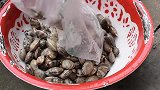 丫丫买了5斤花甲，做一份“蒜蓉花甲”肉质鲜嫩，一大盘吃爽了