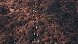 锡惠公园里的缆车