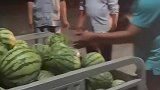 这一幕把人看呆，西瓜老板为了送出西瓜拼了