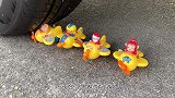 汽车碾压小乌龟玩具挑战实验