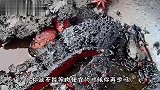 你瞅瞅我老公学点什么不好非要学人家做红烧肉