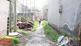 虎妹归来2：虎妹回家，大美开心的和虎妹抱在一起，结局温馨