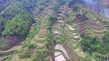 此地是一处只富不贵之地，穴旁青龙有反向之意，龙脉气势也不足