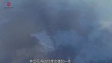女子捡到超大海螺，拿回家切开一看，顿时开心地笑出“猪叫”！