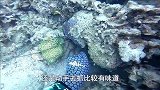 纪录片：海洋猎捕大龙虾，水下相机记录全过程，这肉质真鲜美！