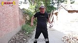 爆笑喜剧：李老二酒后吐真言，没想错把儿媳当儿子，闹出大乌龙