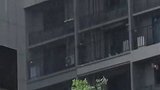 普通公众应如何看待气象预警？