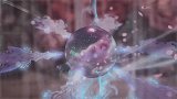 花神生下小公主！第一次见生孩子画面可以这么美！画面太温馨了