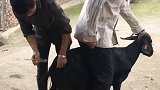 她打这一针，晚上我一定要报复回去的……