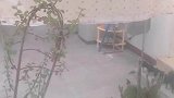 女子家地暖始终17度，发现进入冬天后一直没关窗户
