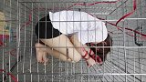 街头少女被关铁笼，众人驻足围观，得知原因后纷纷反省！