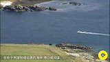 世界上最危险灯塔，巨浪淹没塔尖，网友：给多少钱也不去！