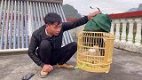 广西小伙戏弄八哥鸟，不料八哥鸟直接咬主人发火，真是太搞笑了