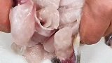 过年的特色菜，酸菜鱼，一定要收藏