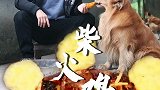 翻动的是人间烟火，品尝的是人生百味