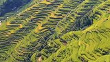 秋天就像一把金贵的钥匙，打开了丰收的大门。大山里的风景 航拍 梯田 加榜梯田 旅行推荐官