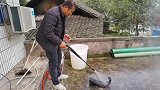 高压水枪暴洗发霉老腊肉，污垢瞬间脱离，看着真过瘾