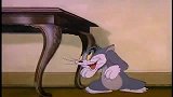 猫和老鼠：汤姆读者杰瑞，想和它玩，没曾想胡子变成了秋千！